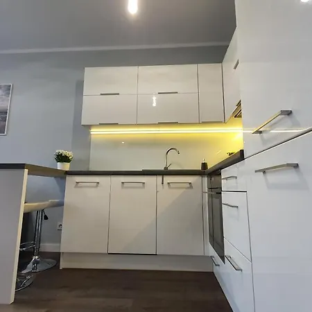 Mila Apartament * 格但斯克
